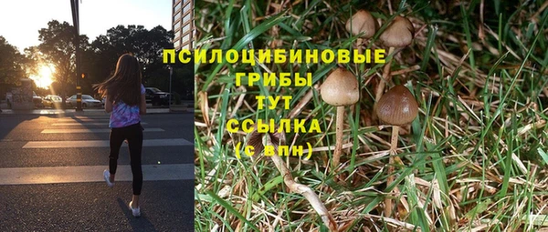 mdpv Пересвет