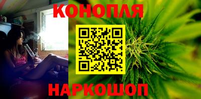 крисы Абакан