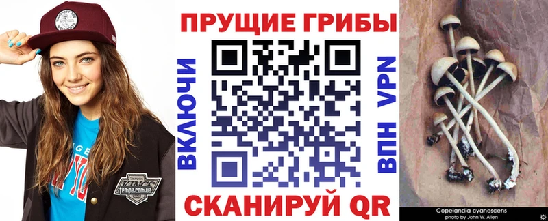 Галлюциногенные грибы мицелий  Уварово 