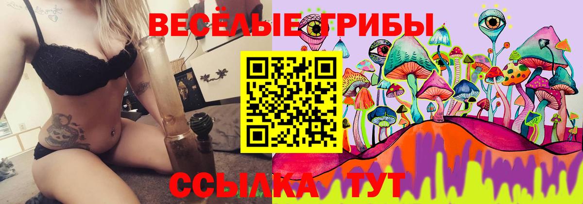 Псилоцибиновые грибы ЛСД  Псилоцибиновые грибы мицелий  Вход с VPN  Уварово 